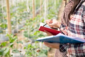 gestão de riscos em projetos agroindustriais