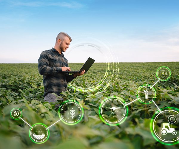 Gestão de qualidade para agroindustrias