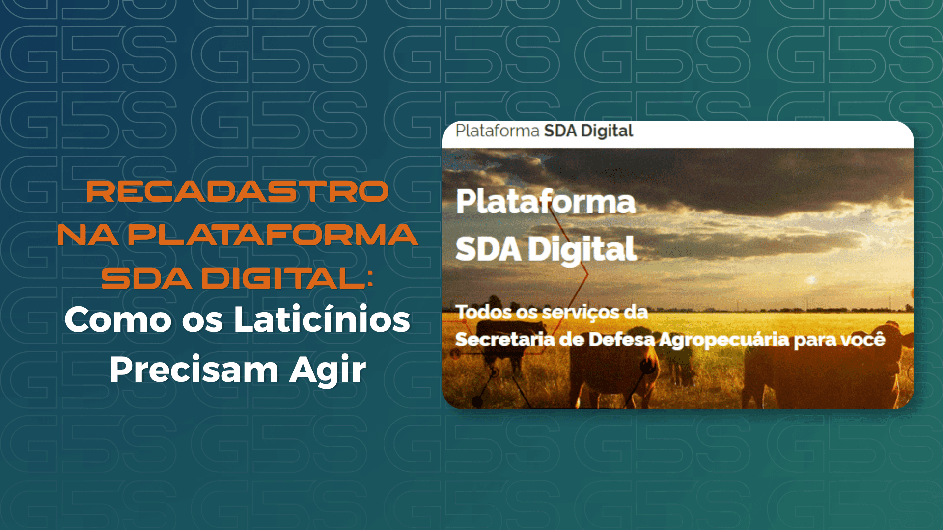 Arte gráfica sobre o recadastro na Plataforma SDA Digital do MAPA para laticínios. À esquerda, o título "Recadastro na Plataforma SDA Digital: Como os Laticínios Precisam Agir". À direita, captura da tela da Plataforma SDA Digital com imagem de bovinos em uma área rural e a frase "Todos os serviços da Secretaria de Defesa Agropecuária para você". Fundo institucional nas cores azul e laranja da marca Grupo G5S.